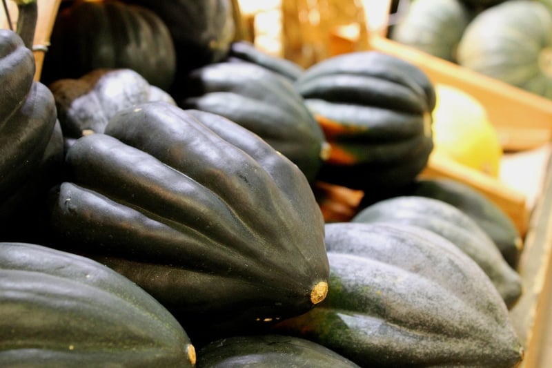 Acorn Squash